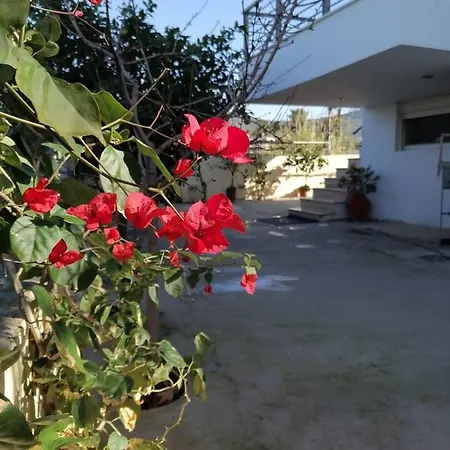 Villa Homey Family Artaki