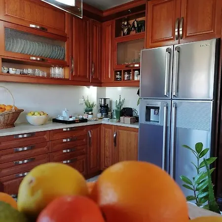 Homey Family Artaki Βίλα