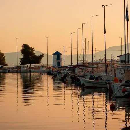 Homey Family Artaki Βίλα Νέα Αρτάκη