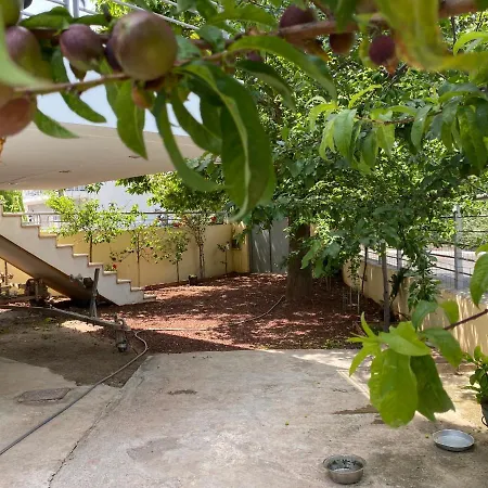 Homey Family Artaki *