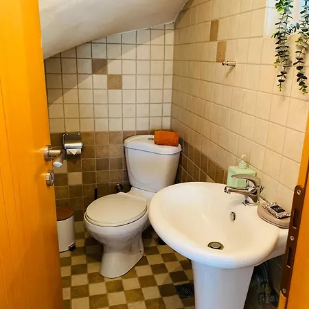 Homey Family Artaki Βίλα *