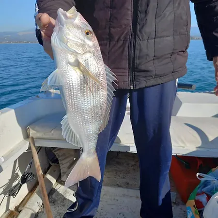 Homey Family Artaki * Νέα Αρτάκη