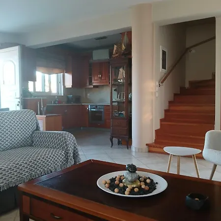 Βίλα Homey Family Artaki