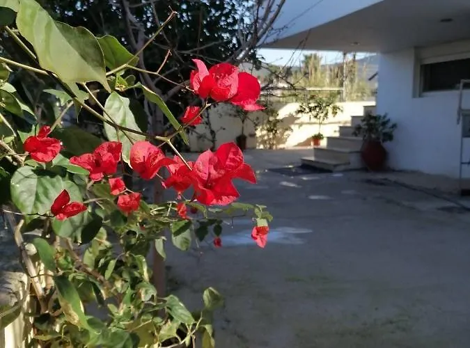 Βίλα Homey Family Artaki