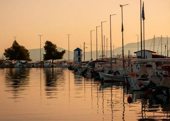 Homey Family Artaki Βίλα Νέα Αρτάκη