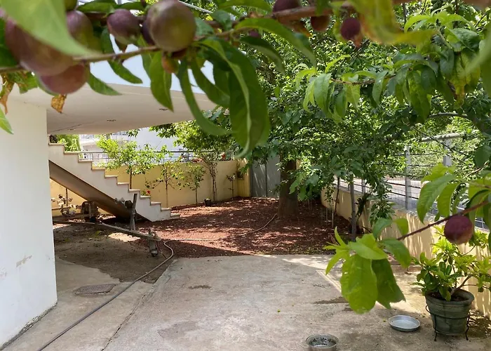 Homey Family Artaki *