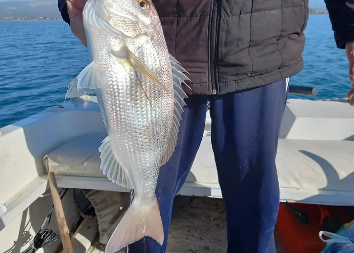 Homey Family Artaki * Νέα Αρτάκη