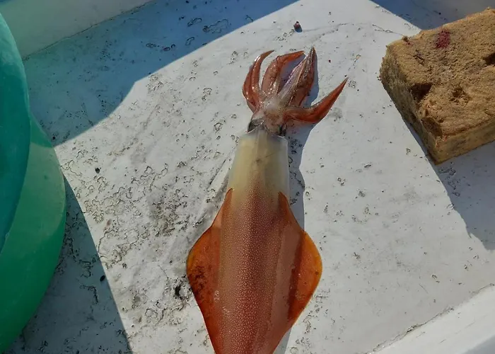 Homey Family Artaki Βίλα